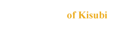 University of Kisubi Innovation Hub
